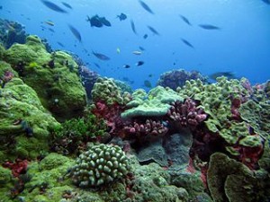 paket wisata pulau tidung